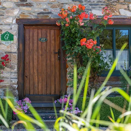 Vakantiehuis - Saze Canne - 11 Personnes Vielsalm