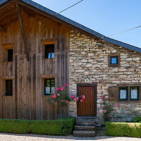 - Saze Canne - 11 Personnes *