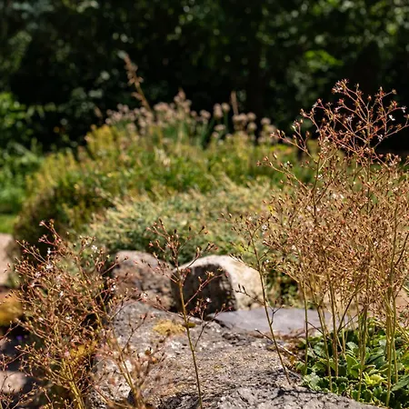 Vakantiehuis - Saze Canne - 11 Personnes *