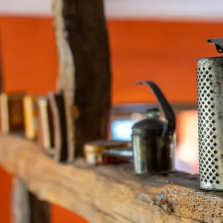 - Saze Canne - 11 Personnes * Vielsalm