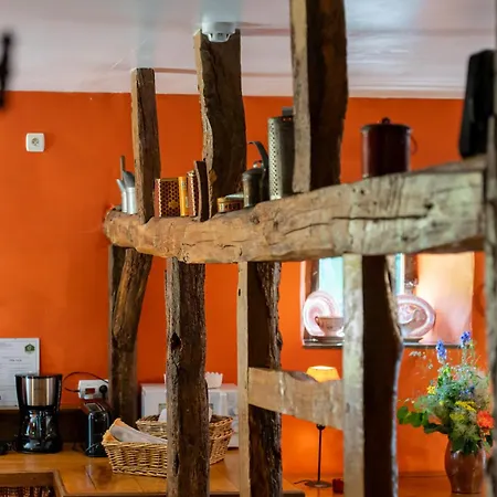 - Saze Canne - 11 Personnes