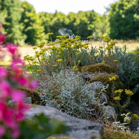 - Saze Canne - 11 Personnes *