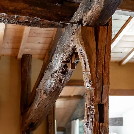 - Saze Canne - 11 Personnes * Vielsalm