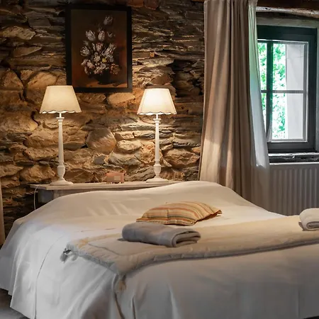 Nyaraló - Saze Canne - 11 Personnes Vielsalm