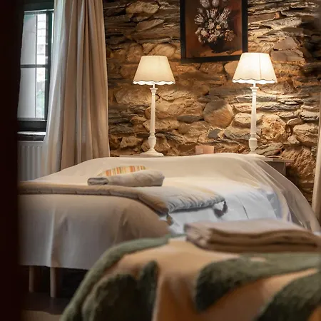 - Saze Canne - 11 Personnes Vielsalm